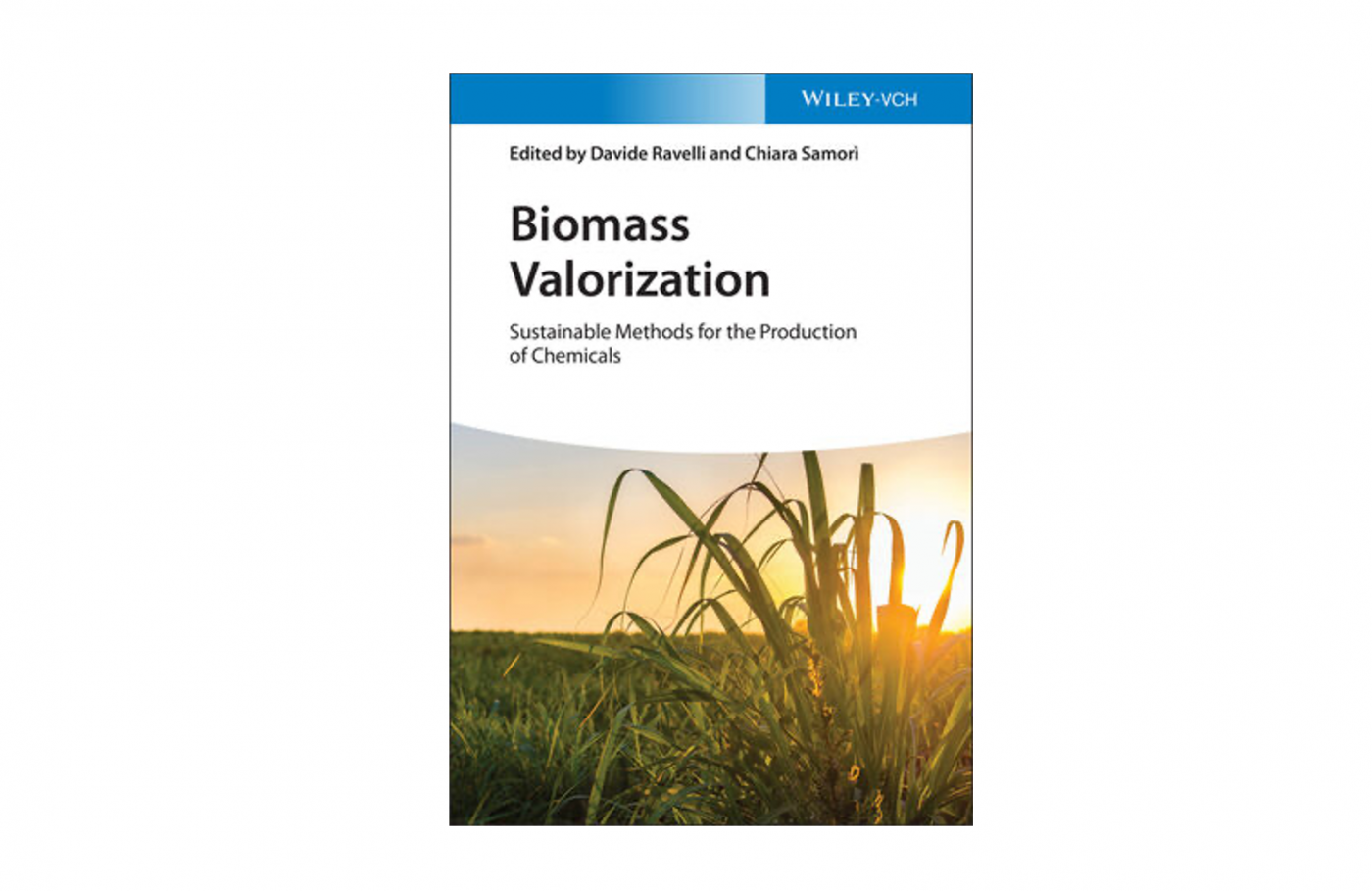 VoltaChem researchers write chapter for novel reference work on biomass valorization