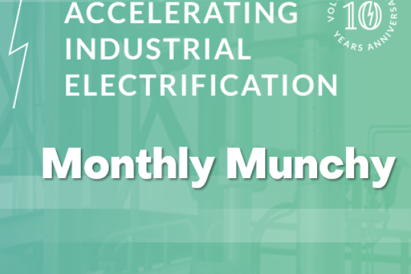 Monthly Munchy: Risks during scale-up of green hydrogen technologies
